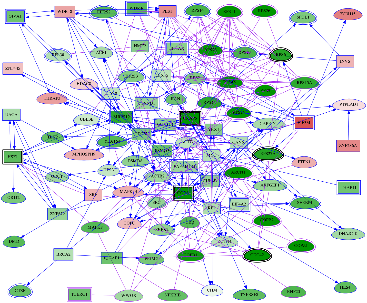 tai-screen-luciferase-meta-int-snw-51741 subnetwork