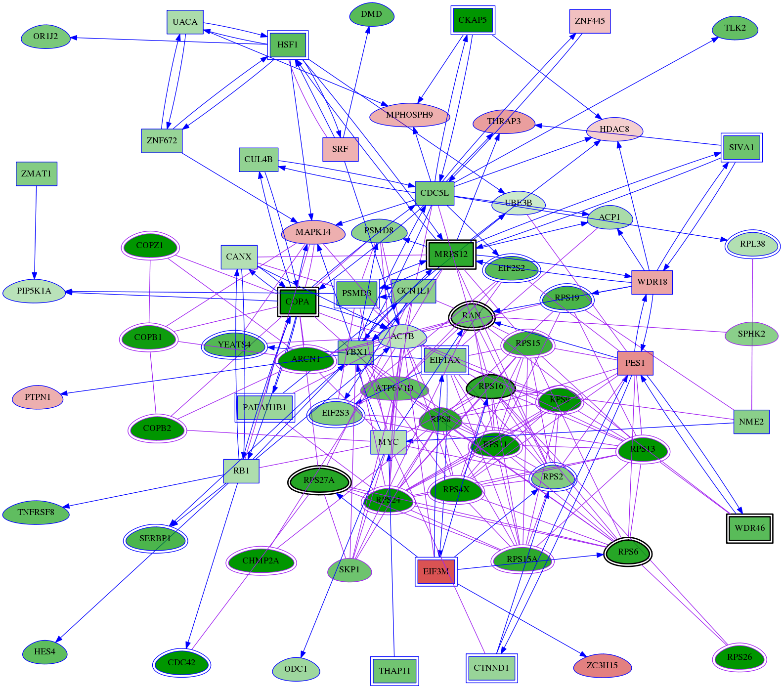 tai-screen-luciferase-meta-int-snw-56848 subnetwork