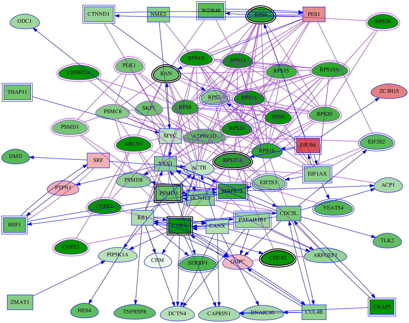 tai-screen-luciferase-meta-int-snw-5706 subnetwork