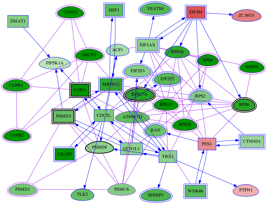 tai-screen-luciferase-meta-int-snw-5714 subnetwork