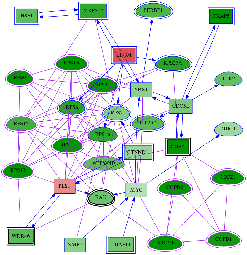 tai-screen-luciferase-meta-int-snw-5901 subnetwork