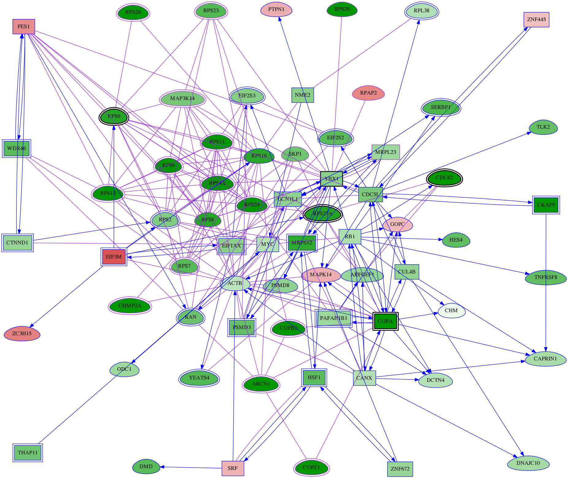 tai-screen-luciferase-meta-int-snw-6150 subnetwork