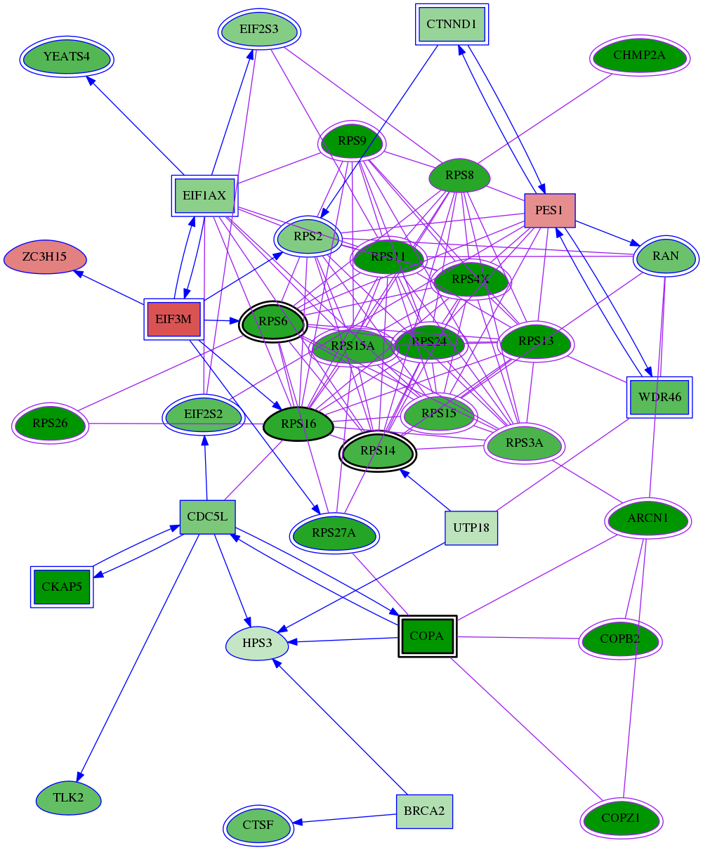 tai-screen-luciferase-meta-int-snw-6189 subnetwork