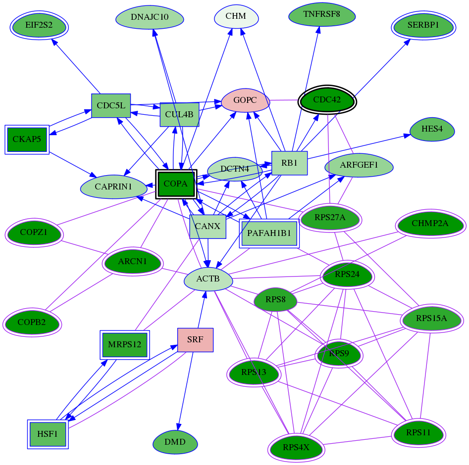 tai-screen-luciferase-meta-int-snw-6210 subnetwork