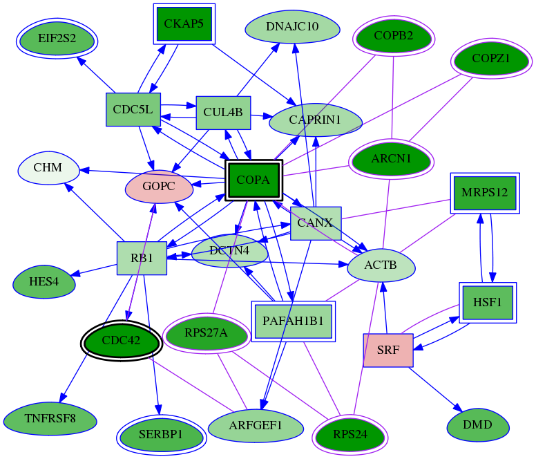 tai-screen-luciferase-meta-int-snw-6233 subnetwork