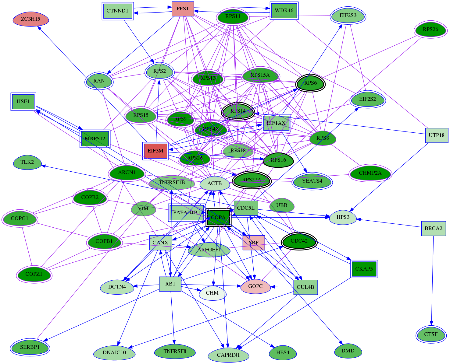 tai-screen-luciferase-meta-int-snw-7133 subnetwork