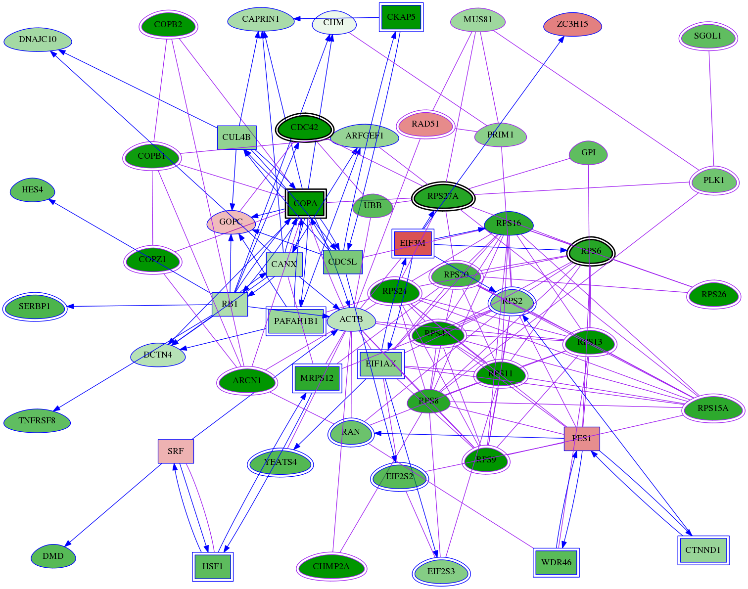 tai-screen-luciferase-meta-int-snw-80198 subnetwork