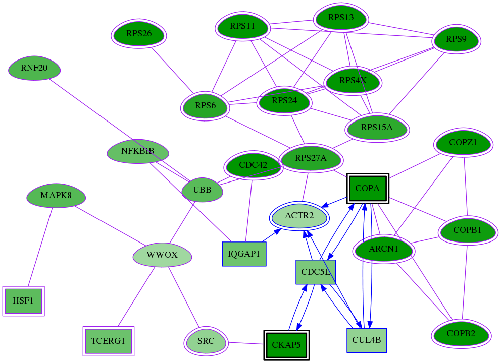 tai-screen-luciferase-meta-reg-snw-10097 subnetwork