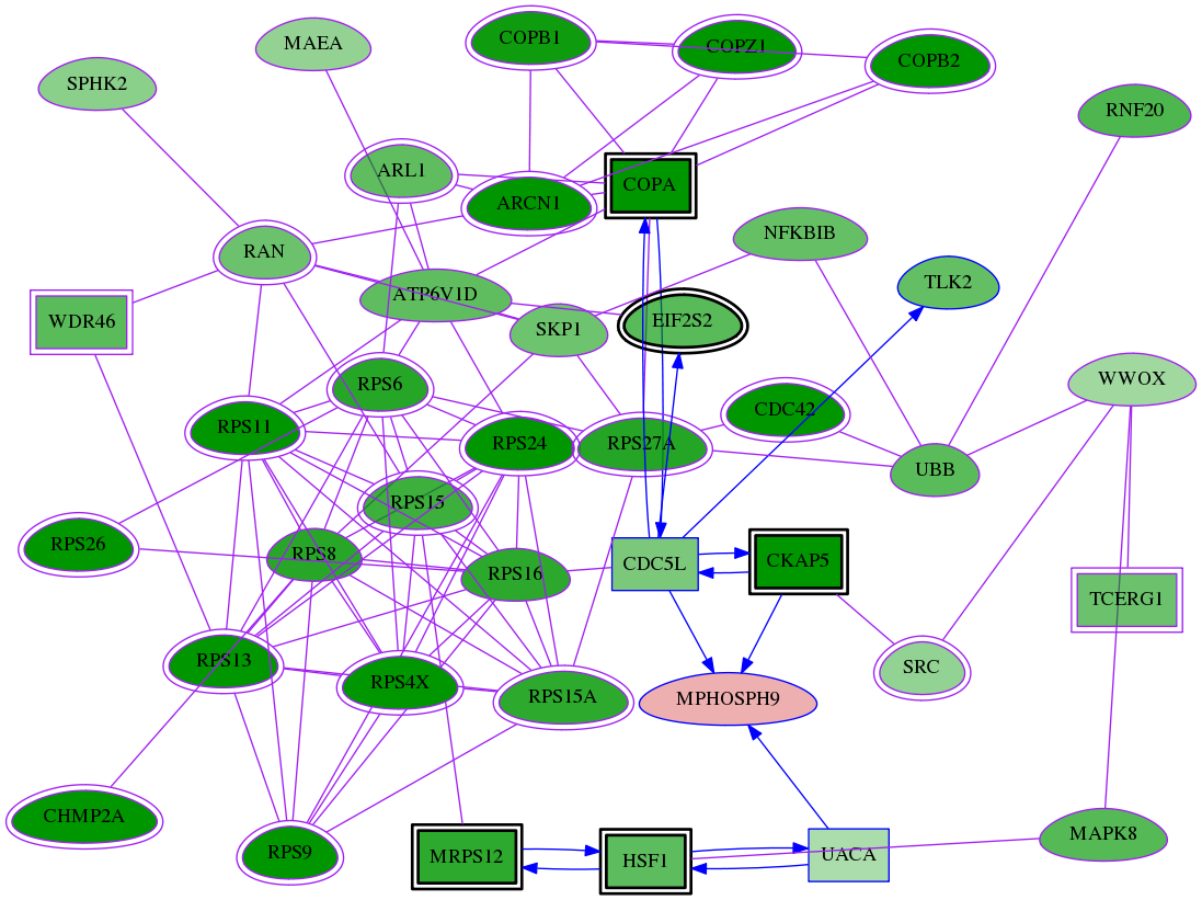 tai-screen-luciferase-meta-reg-snw-10198 subnetwork