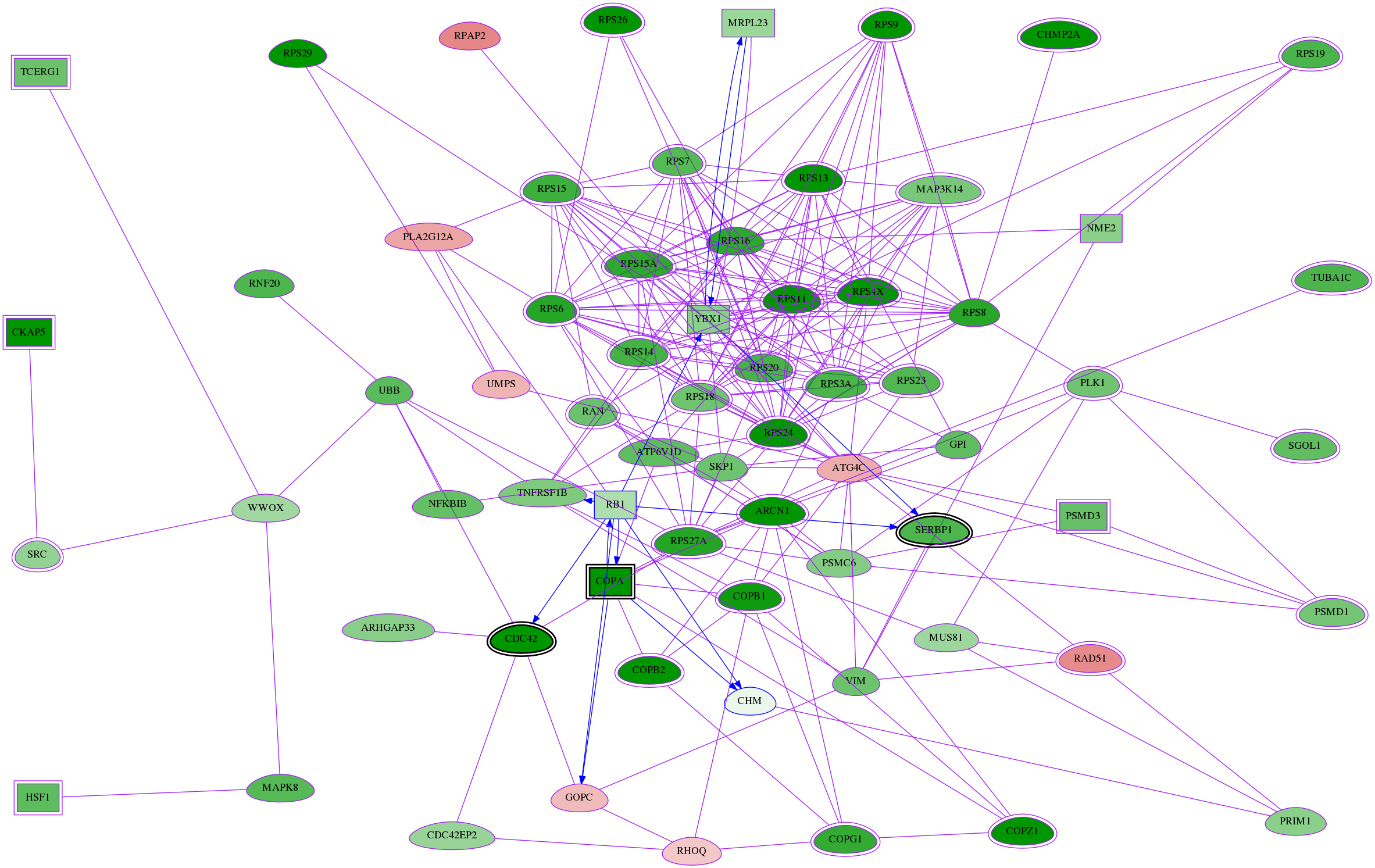 tai-screen-luciferase-meta-reg-snw-1121 subnetwork