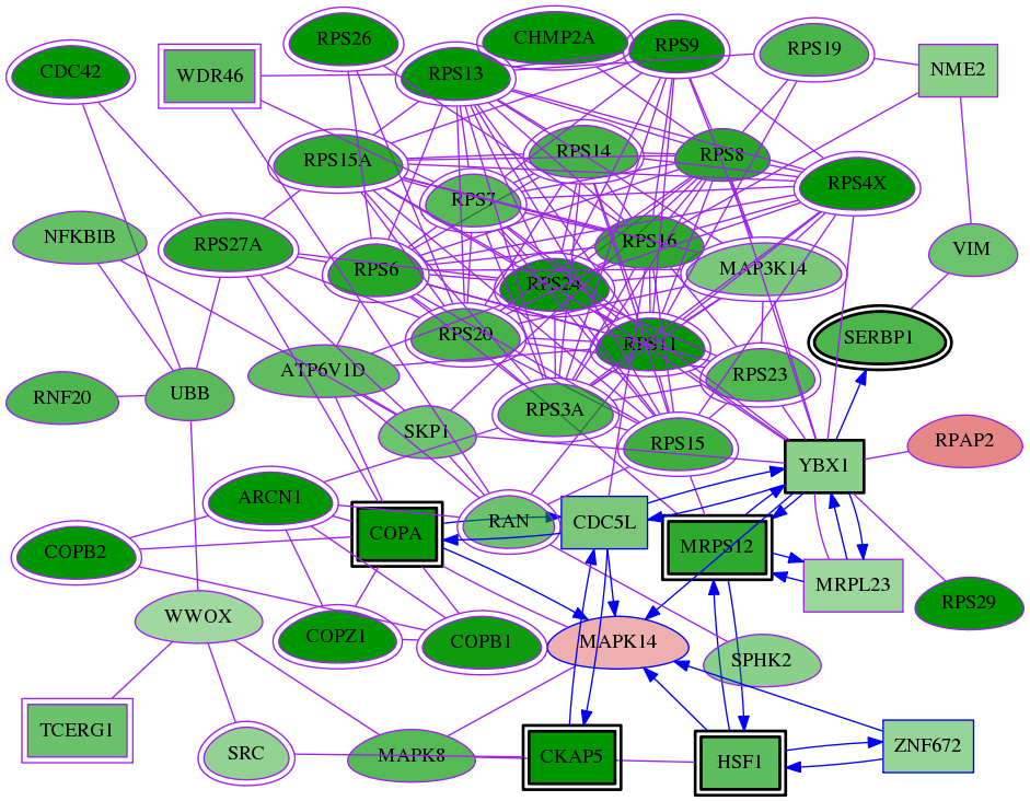 tai-screen-luciferase-meta-reg-snw-1432 subnetwork