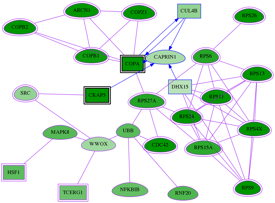 tai-screen-luciferase-meta-reg-snw-1665 subnetwork