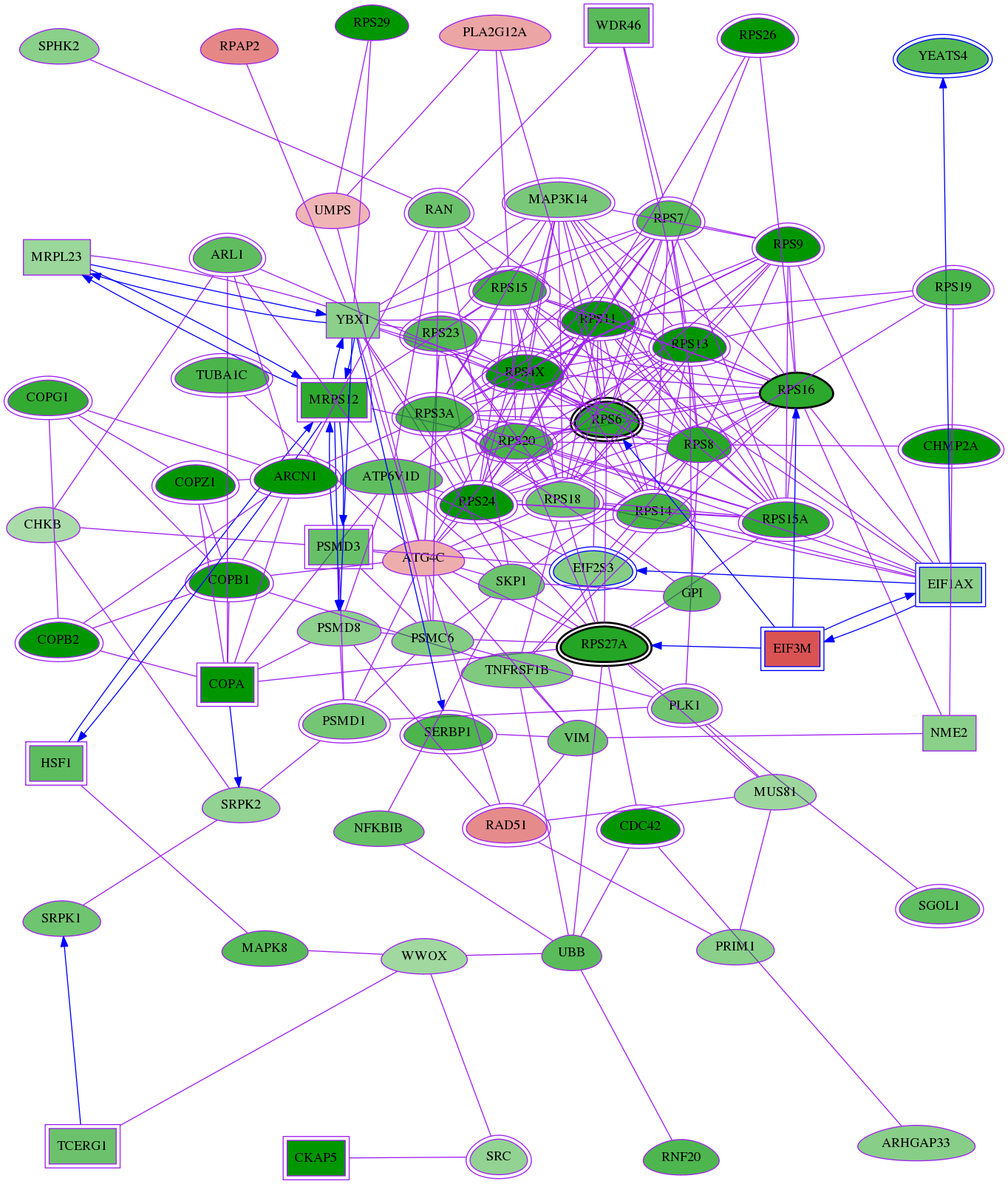 tai-screen-luciferase-meta-reg-snw-1964 subnetwork