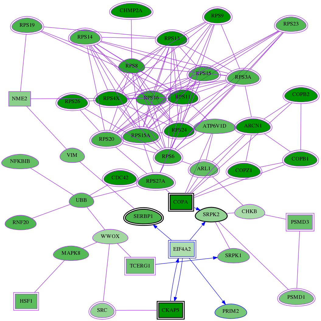 tai-screen-luciferase-meta-reg-snw-1974 subnetwork