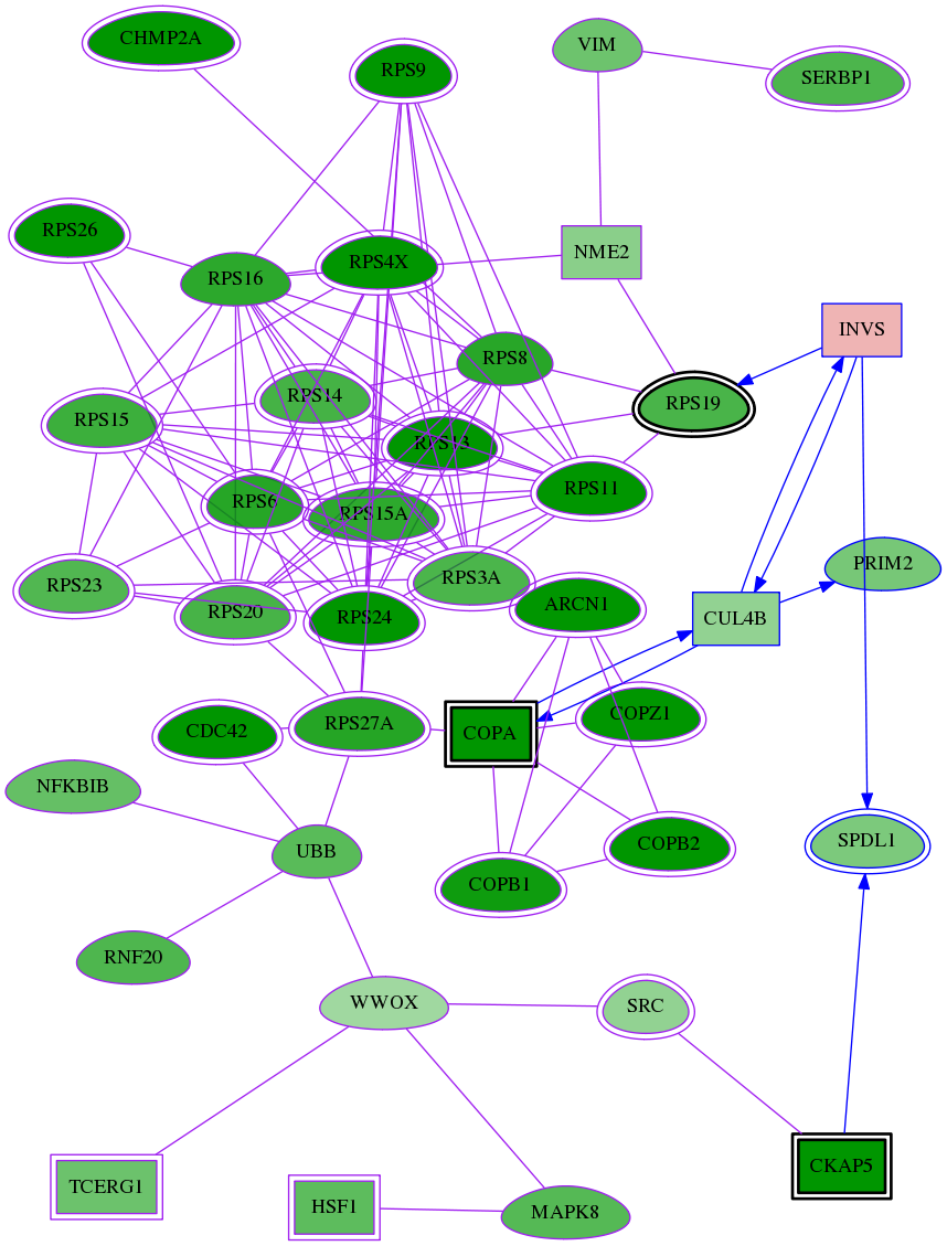 tai-screen-luciferase-meta-reg-snw-27130 subnetwork