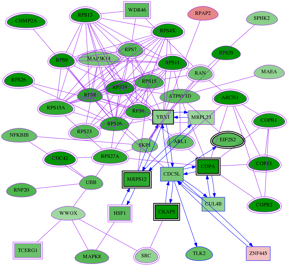 tai-screen-luciferase-meta-reg-snw-353274 subnetwork