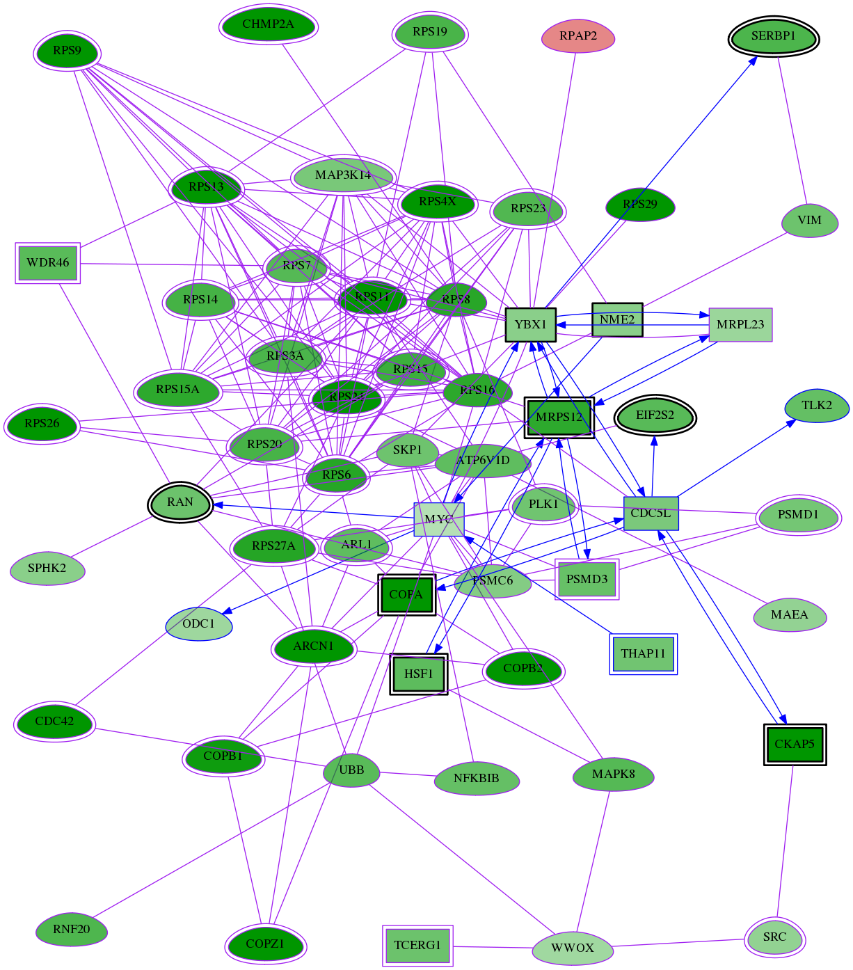 tai-screen-luciferase-meta-reg-snw-4609 subnetwork