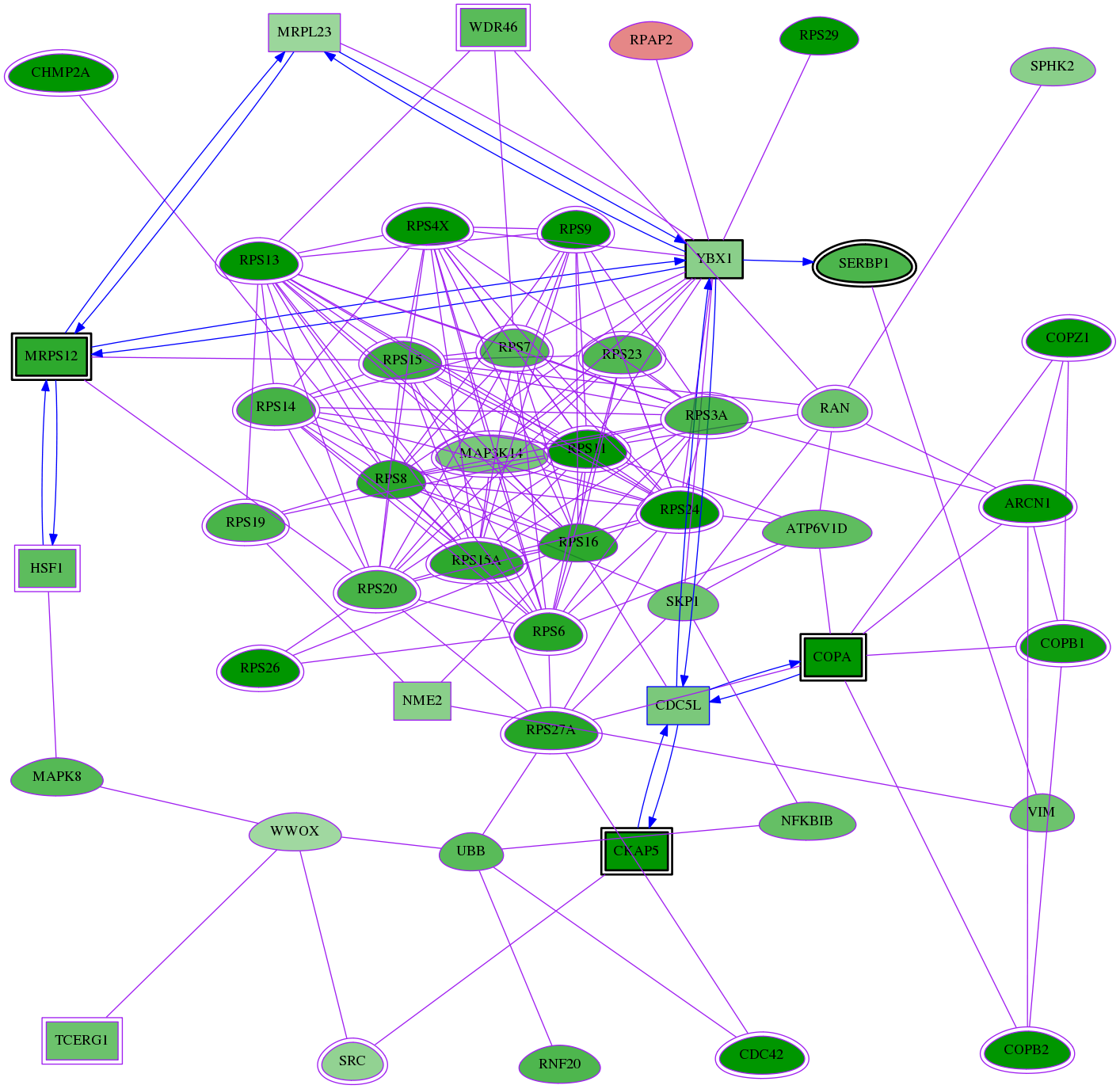 tai-screen-luciferase-meta-reg-snw-4904 subnetwork