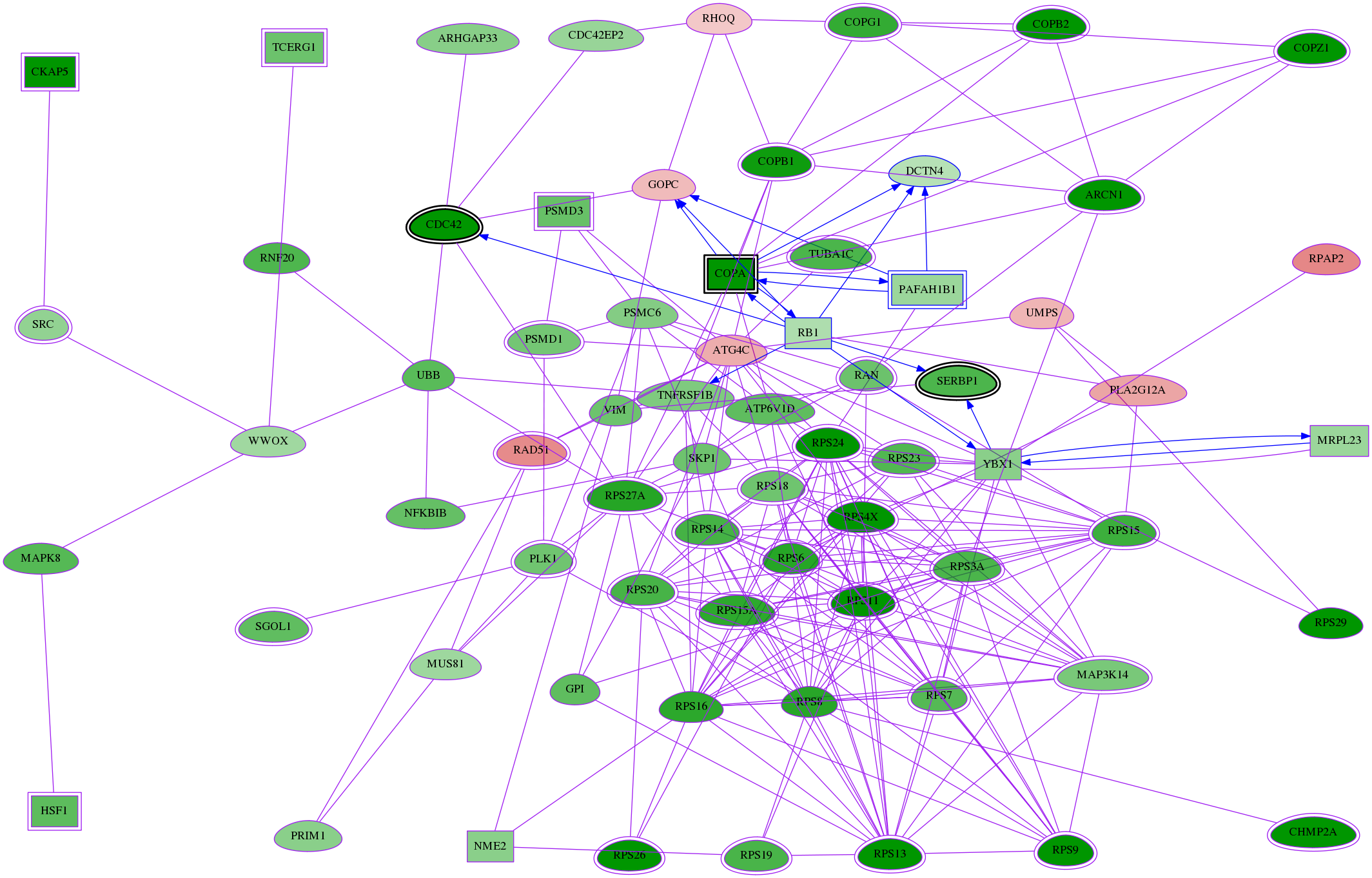 tai-screen-luciferase-meta-reg-snw-51164 subnetwork