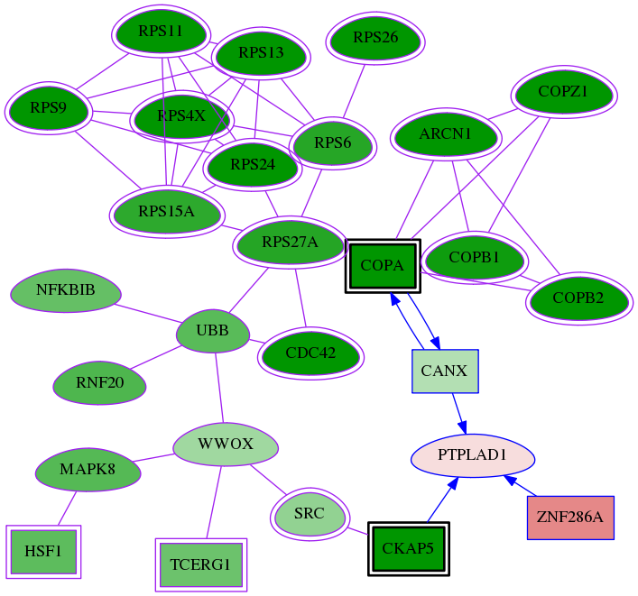 tai-screen-luciferase-meta-reg-snw-51495 subnetwork