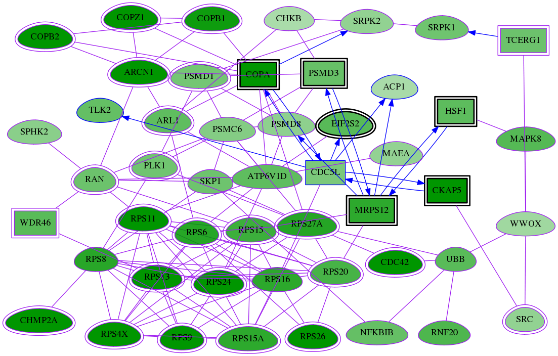 tai-screen-luciferase-meta-reg-snw-52 subnetwork