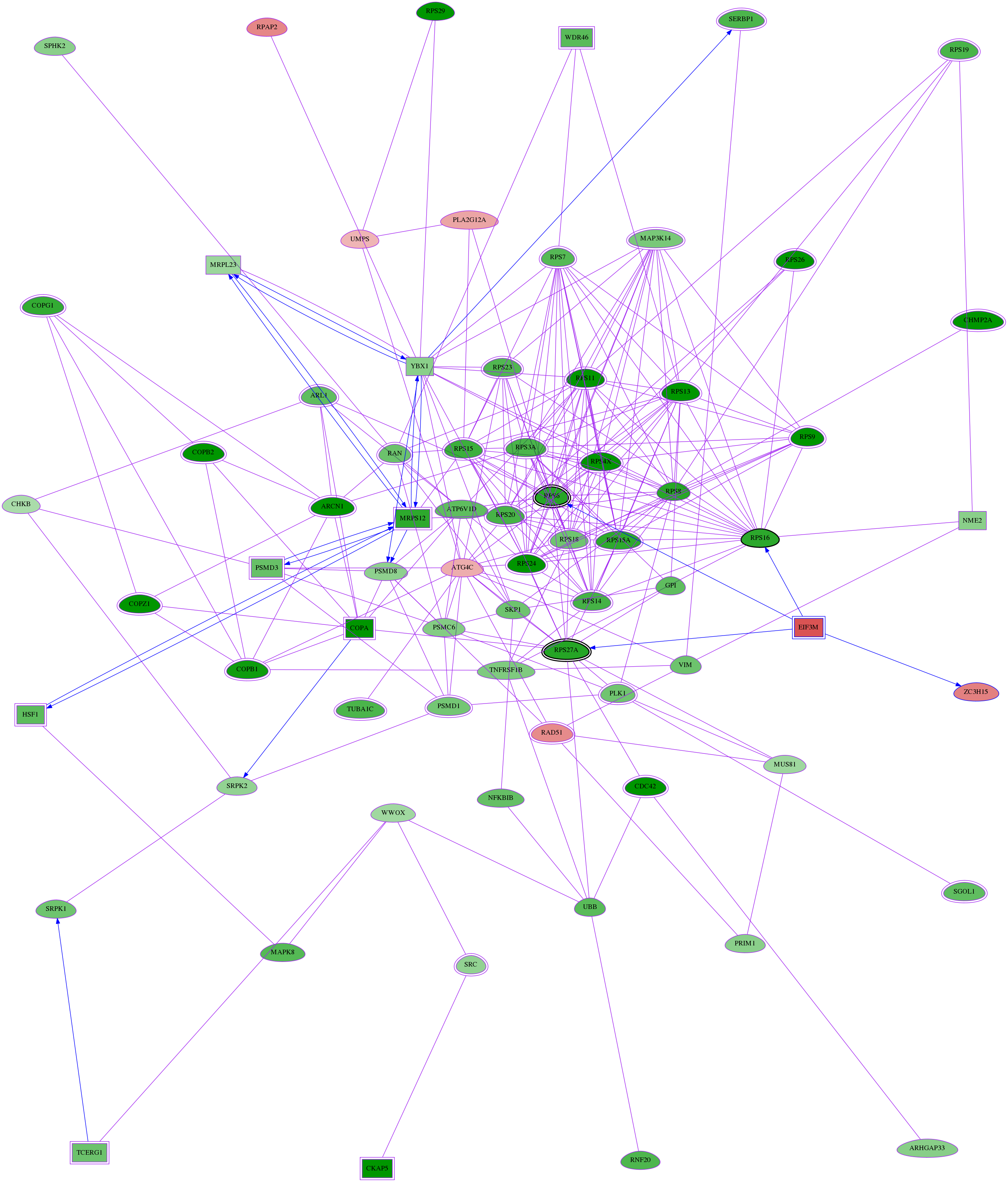 tai-screen-luciferase-meta-reg-snw-55854 subnetwork