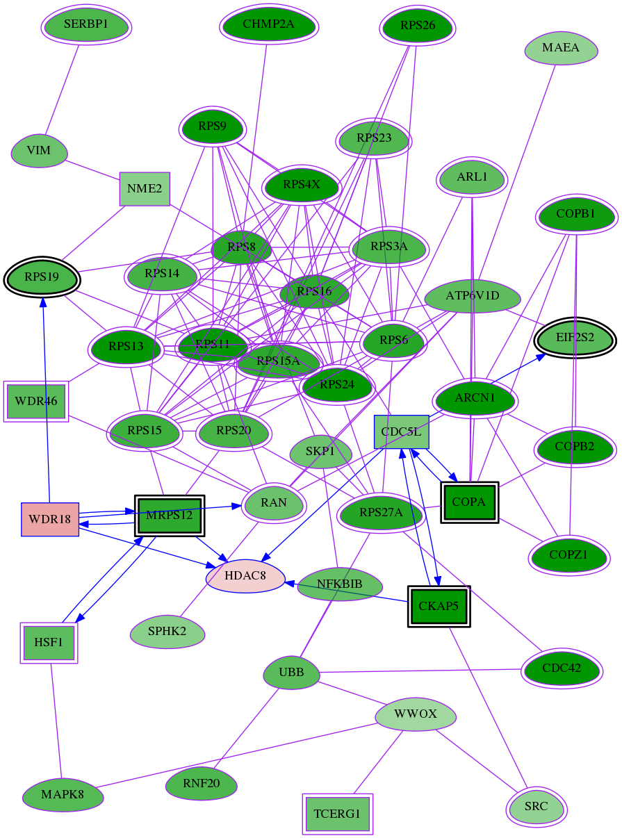 tai-screen-luciferase-meta-reg-snw-55869 subnetwork