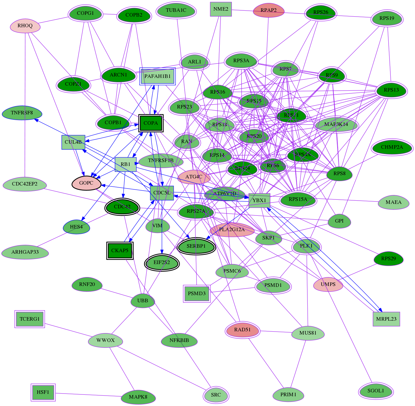 tai-screen-luciferase-meta-reg-snw-57120 subnetwork