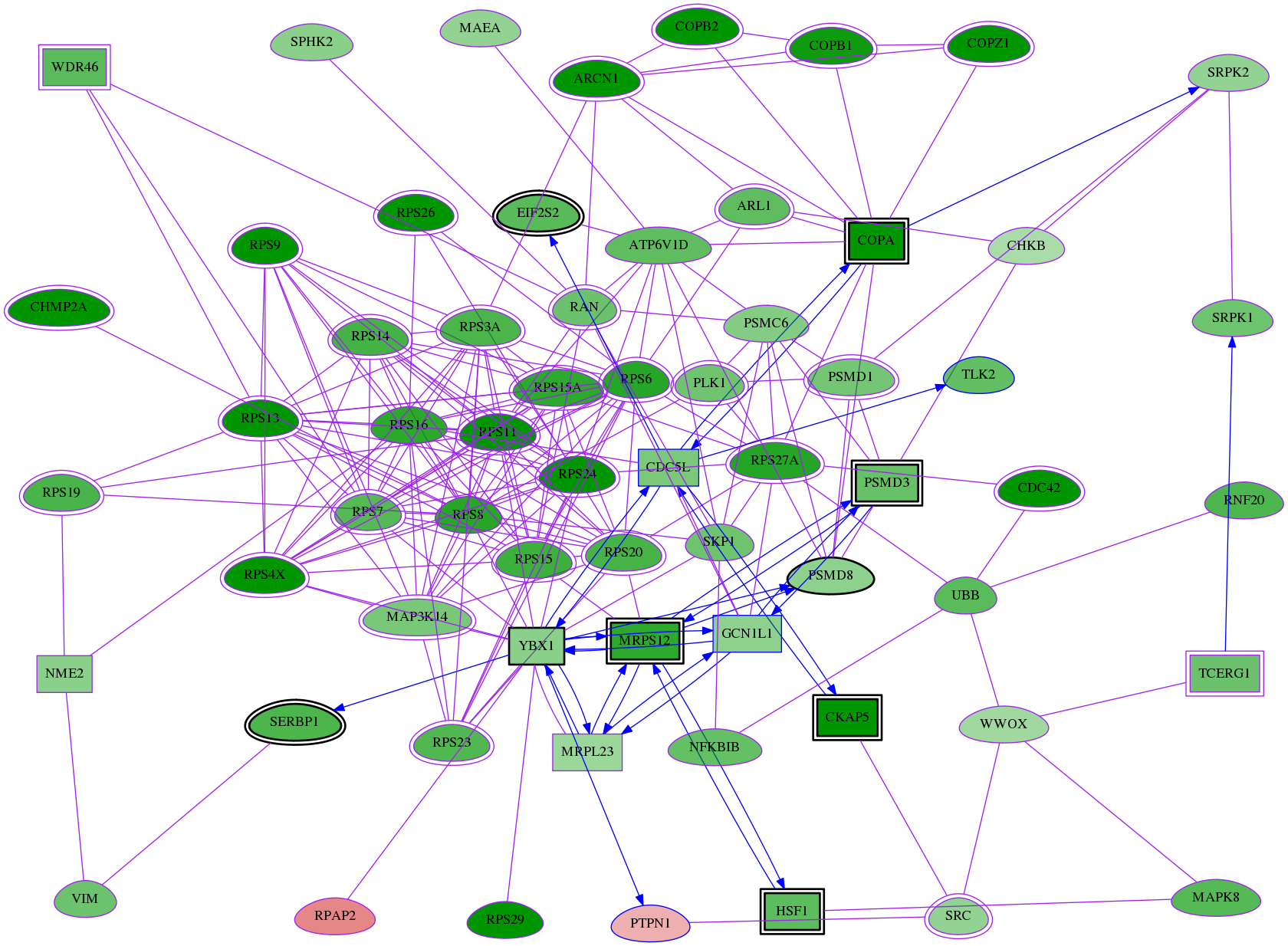 tai-screen-luciferase-meta-reg-snw-5770 subnetwork