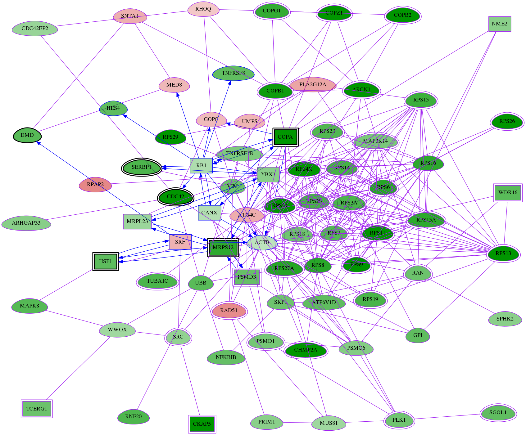 tai-screen-luciferase-meta-reg-snw-60 subnetwork