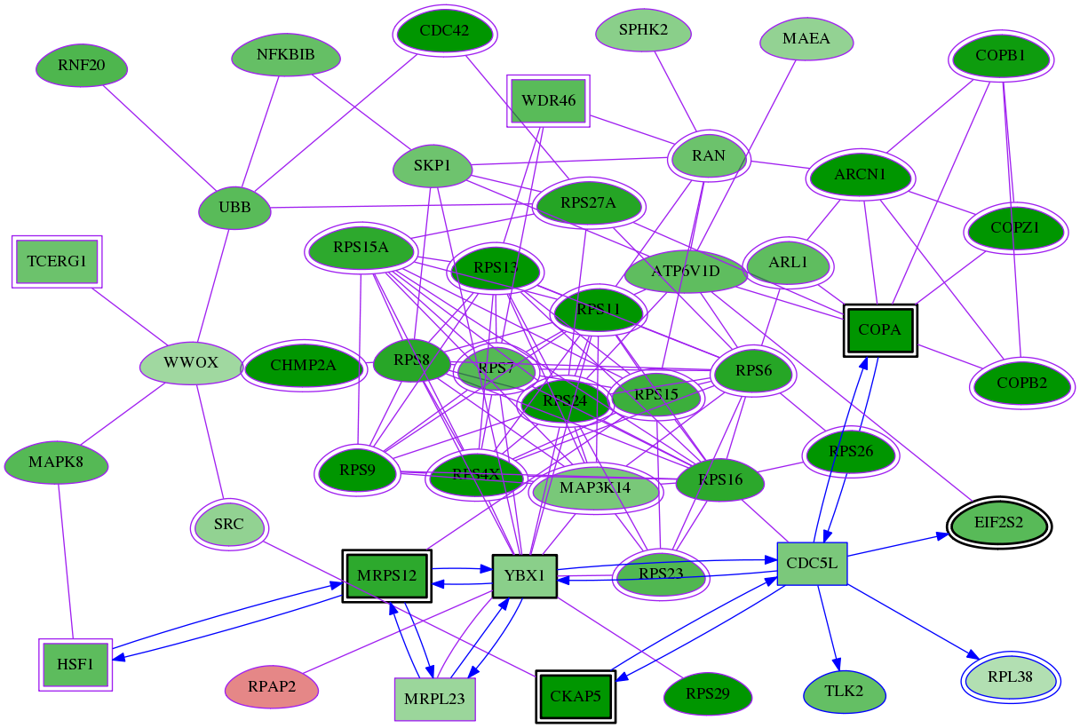 tai-screen-luciferase-meta-reg-snw-6169 subnetwork