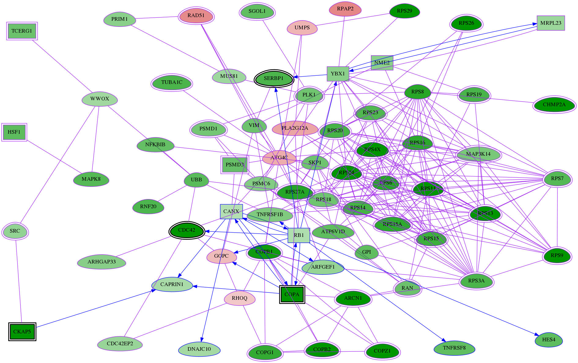 tai-screen-luciferase-meta-reg-snw-821 subnetwork