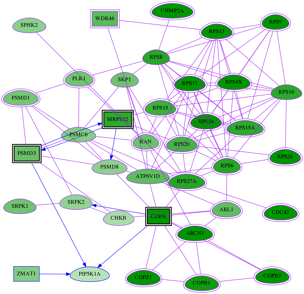 tai-screen-luciferase-meta-reg-snw-8394 subnetwork