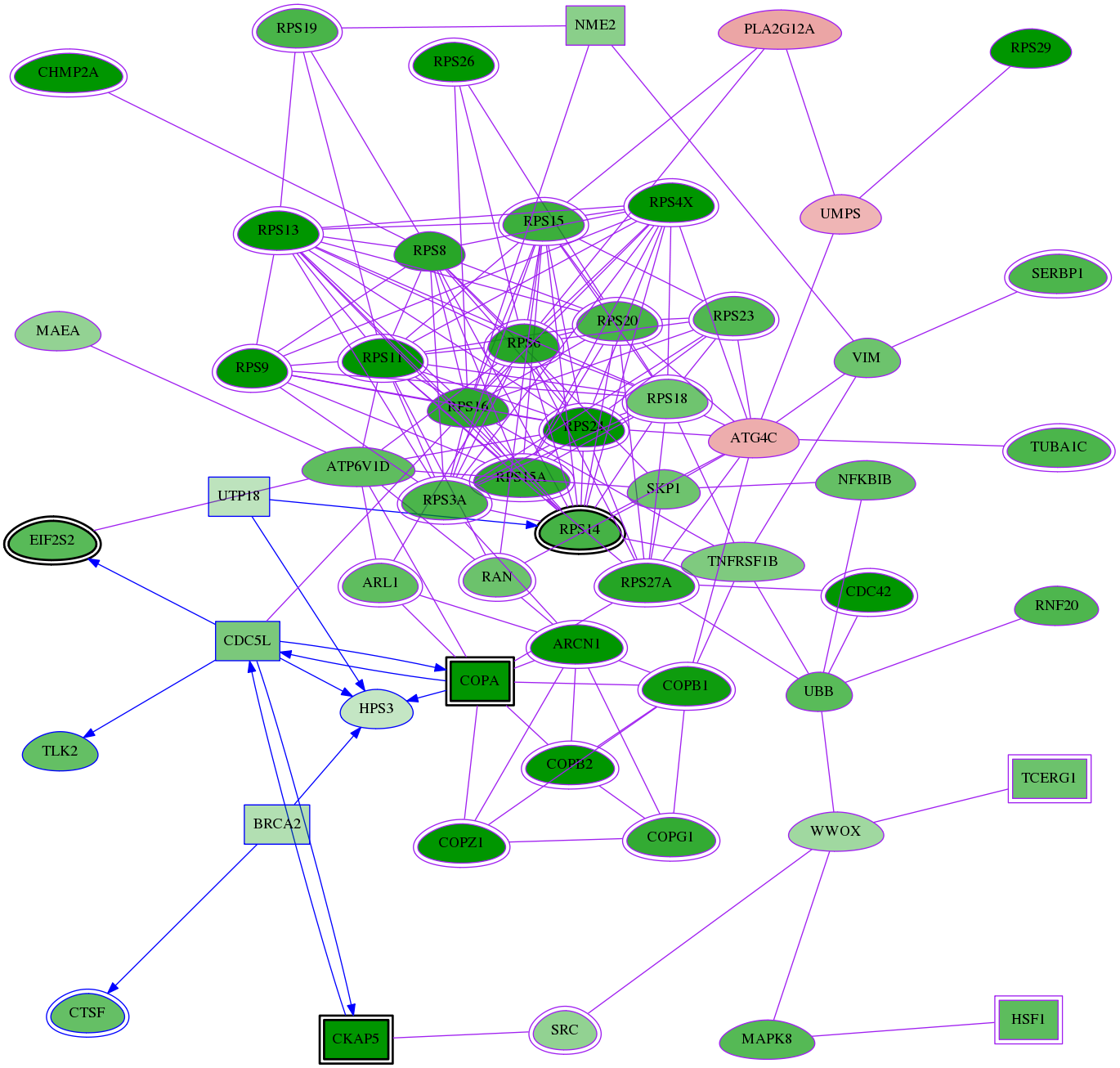 tai-screen-luciferase-meta-reg-snw-84343 subnetwork