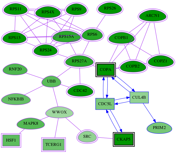 tai-screen-luciferase-meta-reg-snw-8450 subnetwork