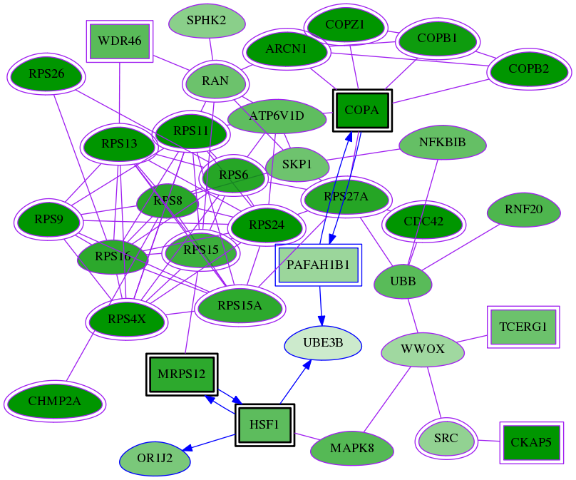 tai-screen-luciferase-meta-reg-snw-89910 subnetwork