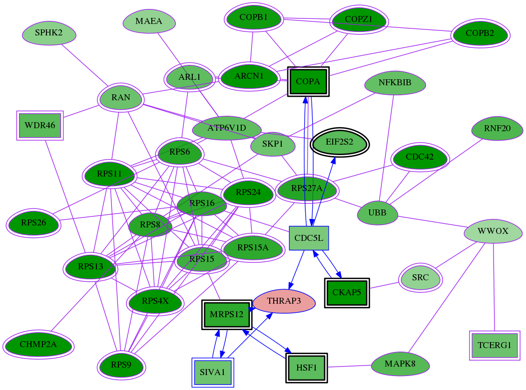 tai-screen-luciferase-meta-reg-snw-9967 subnetwork