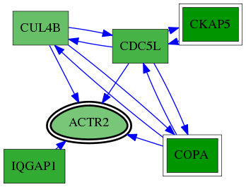 tai-screen-luciferase-reg-snw-10097 subnetwork