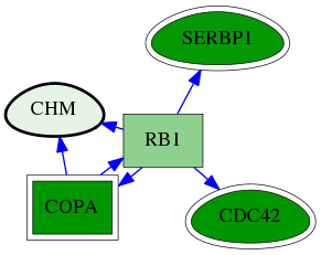 tai-screen-luciferase-reg-snw-1121 subnetwork