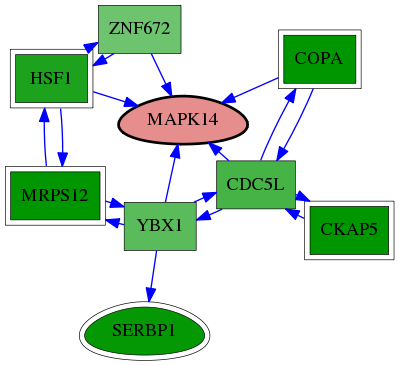 tai-screen-luciferase-reg-snw-1432 subnetwork