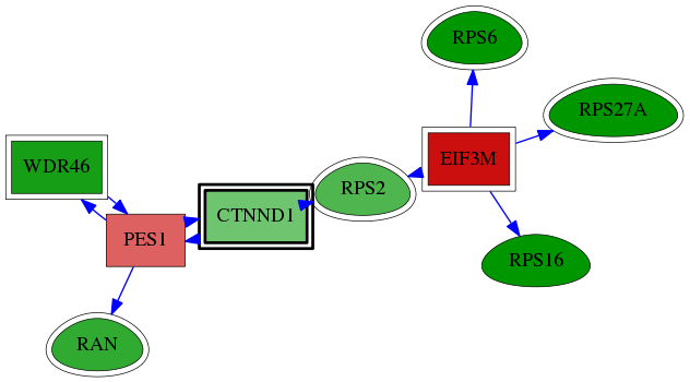 tai-screen-luciferase-reg-snw-1500 subnetwork