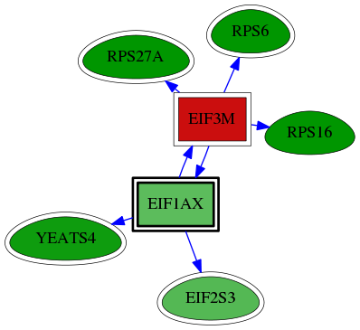 tai-screen-luciferase-reg-snw-1964 subnetwork