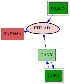 tai-screen-luciferase-reg-snw-51495 subnetwork