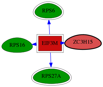 tai-screen-luciferase-reg-snw-55854 subnetwork