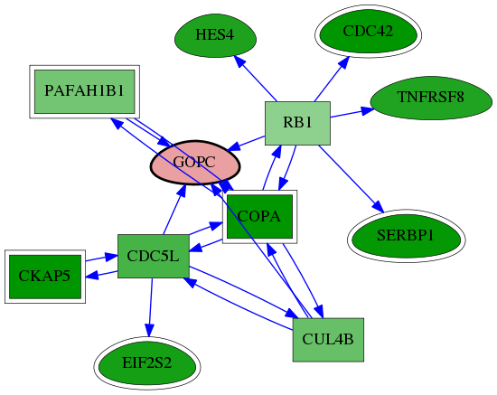 tai-screen-luciferase-reg-snw-57120 subnetwork