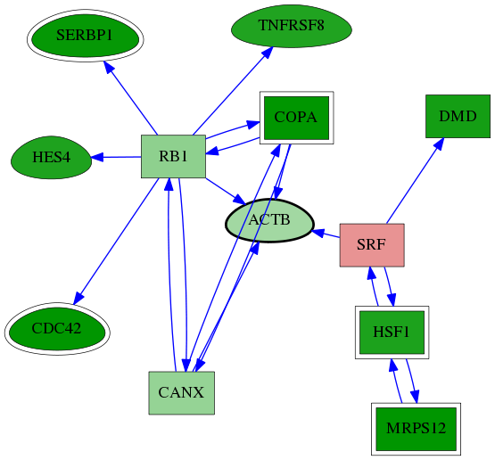 tai-screen-luciferase-reg-snw-60 subnetwork