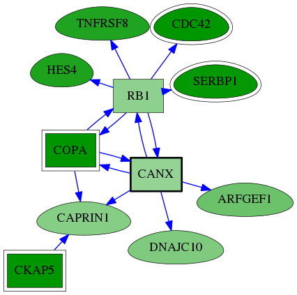 tai-screen-luciferase-reg-snw-821 subnetwork