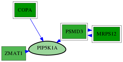 tai-screen-luciferase-reg-snw-8394 subnetwork