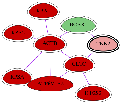 wolf-screen-ratio-mammosphere-adherent-int-snw-10188 subnetwork