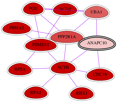 wolf-screen-ratio-mammosphere-adherent-int-snw-10393 subnetwork